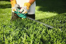 Akku-Heckenscheren sind flexibel einsetzbar Bosch Heckenschere AHS 52 LI